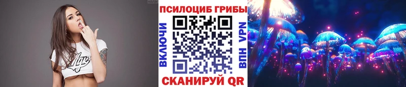 Псилоцибиновые грибы мицелий Муром